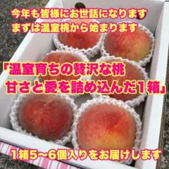 まず手始めに山梨県産の訳あり温室桃から行ってみよう！5〜6個入り送料は無料です。のサムネイル