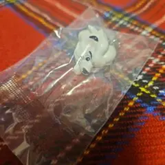 レオ めじるしアクセサリー