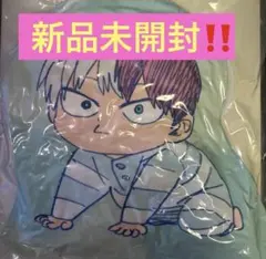 僕のヒーローアカデミア ダイカットクッション 轟焦凍 新品