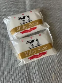 Item thumbnail for item 2626e5b3-3c6f-4d6a-8f5f-fbad295fc411