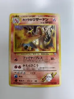 2026年最新】カツラのリザードンの人気アイテム - メルカリ