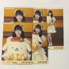 ≒JOY ニアジョイ 生写真 天野香乃愛 ポムポムプリン コンプ - メルカリ