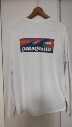 パタゴニア　ロングスリーブ・キャプリーン・クール・デイリー・グラフィック・シャツ