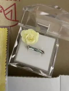 ブラジル産パライバトルマリンPT900リング11号