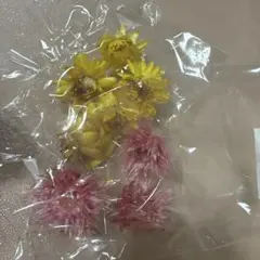 ドライフラワー8個セット（黄色・ピンク）