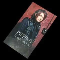 PIERROT 有明 パンフレット 2種 キリト ピエロ アイジ 潤 ピエラー PIERROT 有明 パンフレット 2種 キリト ピエロ アイジ 潤