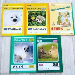 学習帳 5冊セット☆ かんじれんしゅう　国語　算数 ムーミン他