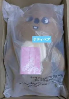 Stray Kids SKZOO PLUSH テディベア チャンビン - メルカリ