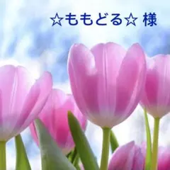★ ☆ももどる☆様専用★