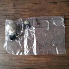 ねんどろいどぷち Fate/hollow ataraxia セイバーオルタ