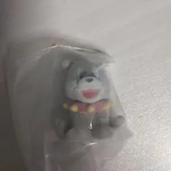 トムアンドジェリー　カプセルフロッキーズ　タイク