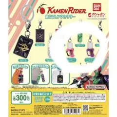 仮面ライダーシリーズ めじるしアクセサリー 二点セット