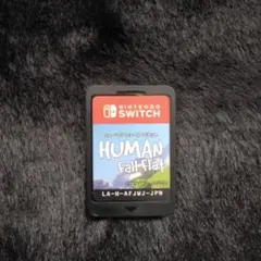スイッチカセット　ヒューマンホールフラット