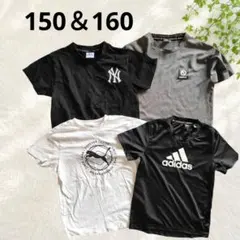 ​150 ～ 160 男の子 Tシャツ セット アディダス プーマ まとめ売りのサムネイル