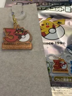 ポケモン ポケチャーム30周年ロゴマスコット2 ニャビー