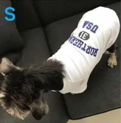 Sサイズ ROBERTHEA USA 31 ロゴTシャツ 犬服のサムネイル