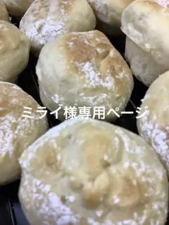 ミライ様専用ページ