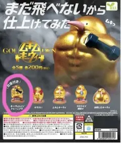 ムキムキキーウィ GOLDEN キーウィんにくトレーニング