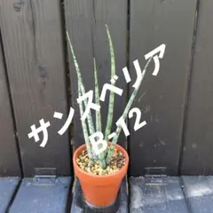 ガレージM様 リクエスト 2点 まとめ商品