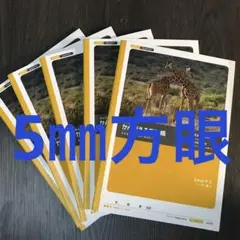 Item thumbnail for item 81056cd2-4cc8-4584-b45a-a887fb22e96b