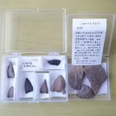 2026年最新】縄文土器 破片の人気アイテム - メルカリ