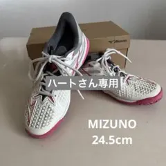 オムニ/クレー　Mizuno WaveExceed Tour 3 テニスシューズ
