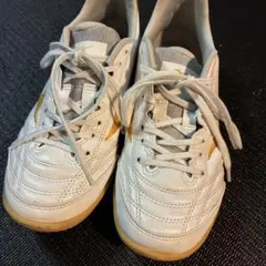 Item thumbnail for item 0c167bc6-423b-4b5a-b702-4f0faeed0d21