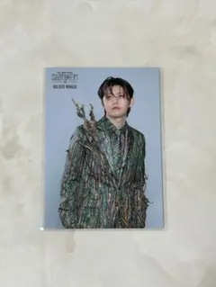 【おまとめ割あり】バベルの塔　フォトカード　051