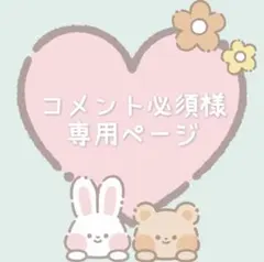 コメント必須様 オーダー2点