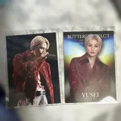 八木勇征 フォトカ