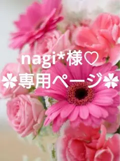 nagi*様 リクエスト 2点 まとめ商品♡