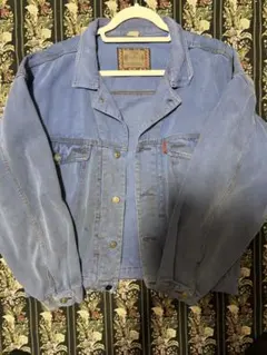JAG デニムジャケット トラッカー ジャケット 短丈 古着 Mサイズ 