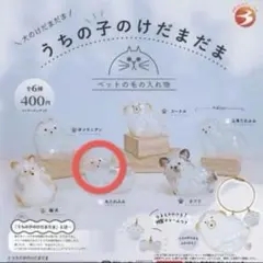 うちの子のけだまだま　犬のけだまだま　丸たれみみ