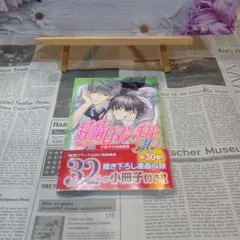 【重複購入/新品未開封品】純情ロマンチカ 第30巻 小冊子付き特装版