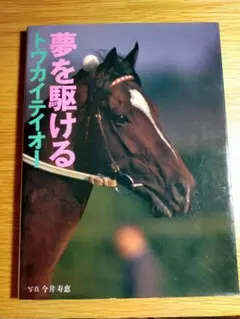 夢を駆けるトウカイティオー Amazon.co.jp: トウカイテイオー 夢を駆ける 写真集 今井寿恵