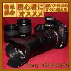 ✨スマホ転送セット付き✨❤️Sony SLT-A33 トリプルズームセット