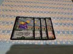 森の指揮官コアラ大佐　ホイル