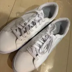 Item thumbnail for item ae521dfc-8a32-4380-b94b-810731f40932