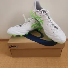 ASICS DS LIGHT X-FLY 6 KAMO限定カラー - メルカリ