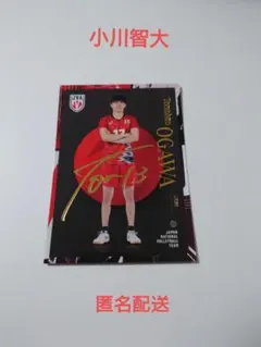小川智大 直筆サイン ミニ色紙 男子バレー 日本代表 2024 2025年最新】小川智大 色紙の人気アイテム - メルカリ