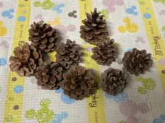 Item thumbnail for item 17409b9d-6b48-47b1-b090-36aaebae494e