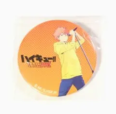 ハイキュー 日向翔陽 頂のLIVE 缶バッジ