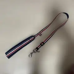 ラディカ　リードのサムネイル