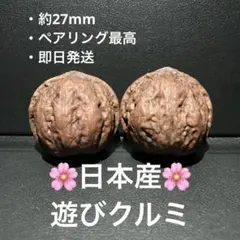 227【新品未使用】遊びクルミ(文玩核桃) 日本産鬼グルミ・完全一致ペア