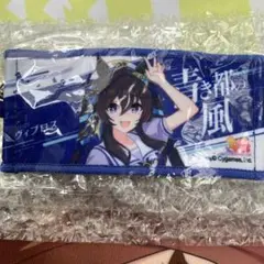 ウマ娘 6thライブ リアルガチャ ヴィブロス　公式応援ミニキーホルダー