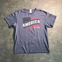 【DELTA】アメカジ プリントTシャツ メキシコ製 着usedTSM10