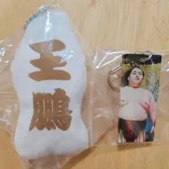 Item thumbnail for item e65f822e-87a4-47ec-bb0b-7b823faddf19