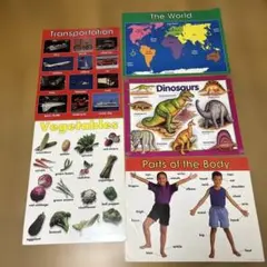 子ども英語教材　大型版ポスター　５枚セット