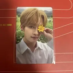 straykids スキズ リノ noeasy 封入トレカ