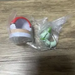 ポケモンわくわくアスレチック ニャオハ